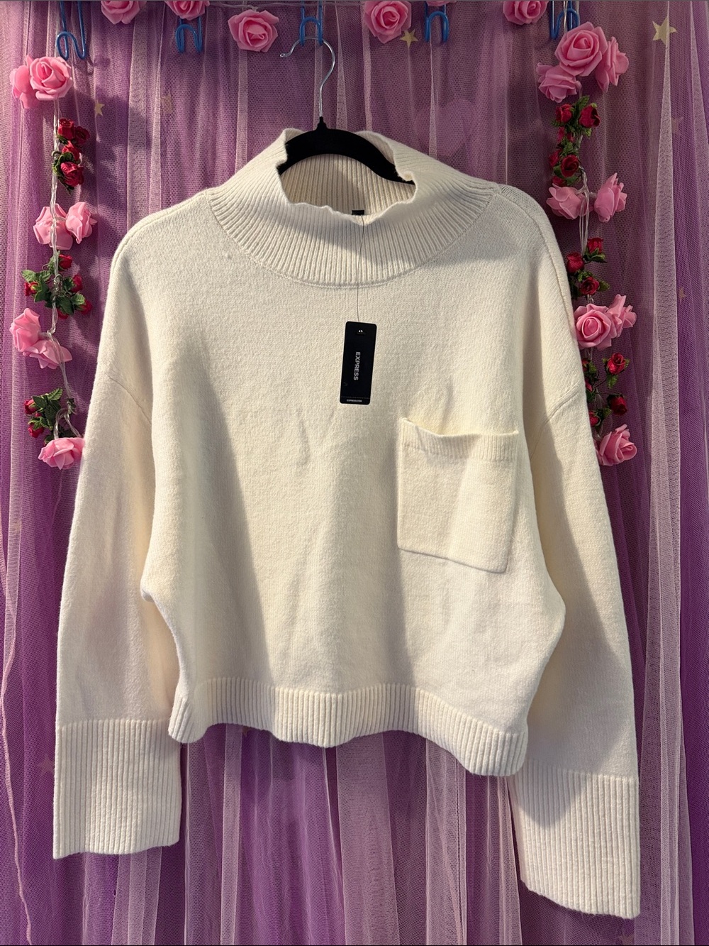 Woman’s new Express sweater